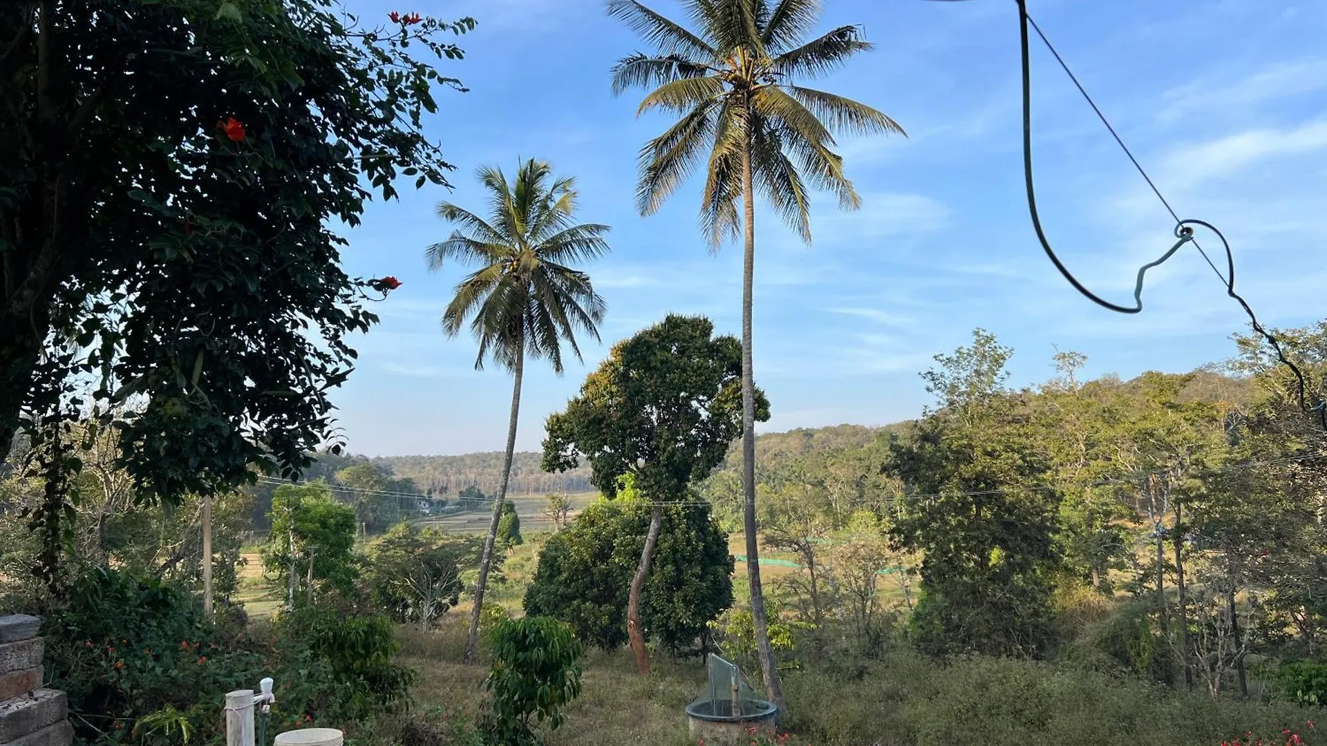 Wild 4Rest Homestay And Huts Ambalavayal