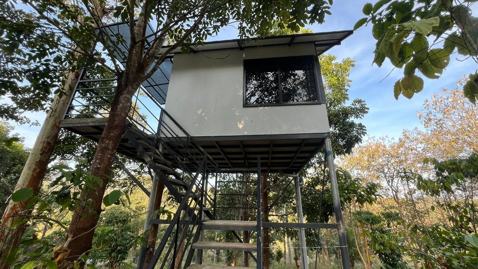 Wild 4Rest Homestay And Huts Ambalavayal