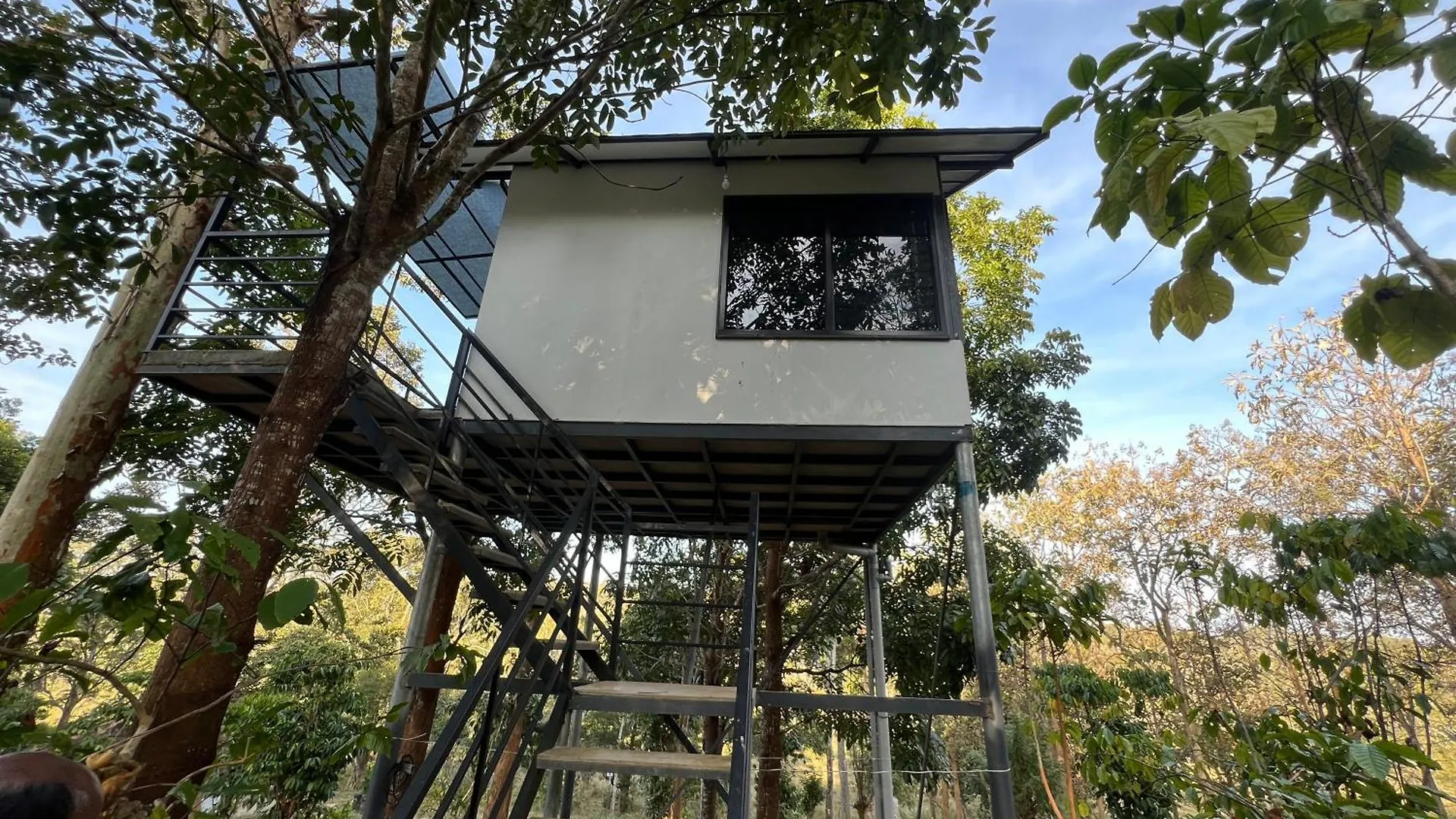 Wild 4Rest Homestay And Huts Ambalavayal 0*,  India