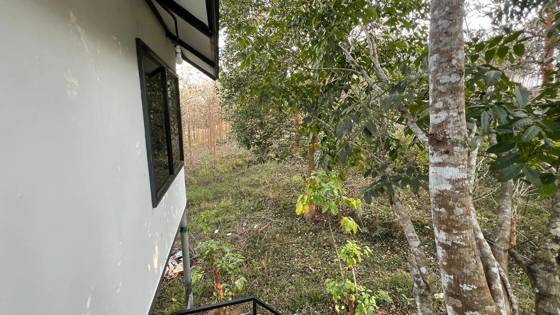 Wild 4Rest Homestay And Huts Ambalavayal India